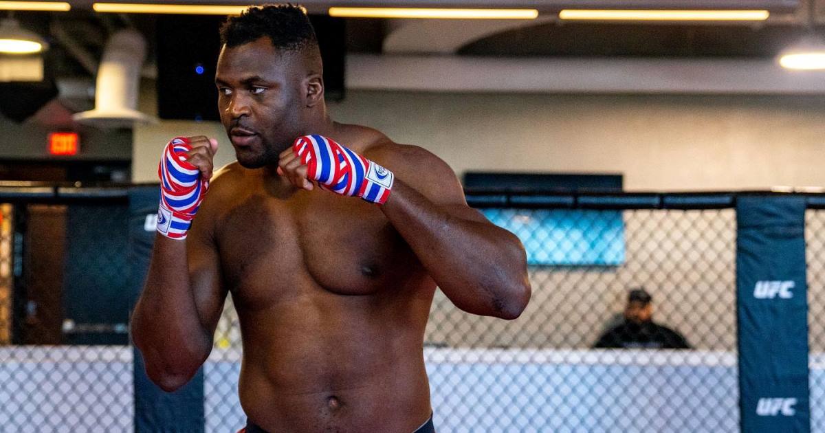 francis ngannou