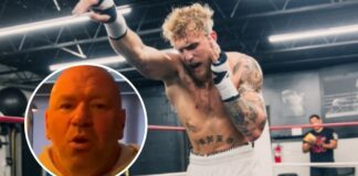 Dana White odpowiada Jakowi Paulowi: „Dlaczego nie nawołujesz o walkę z Adesanyą?”