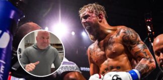 Jake Paul proponuje walkę z Conorem McGregorem na swoich warunkach