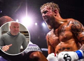 „Ta zmiana jest bardzo potrzebna”. Jake Paul chce rozbić monopol UFC