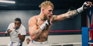 Sonnen wskazuje dla kogo i z kim Jake Paul zawalczy w MMA jake paul