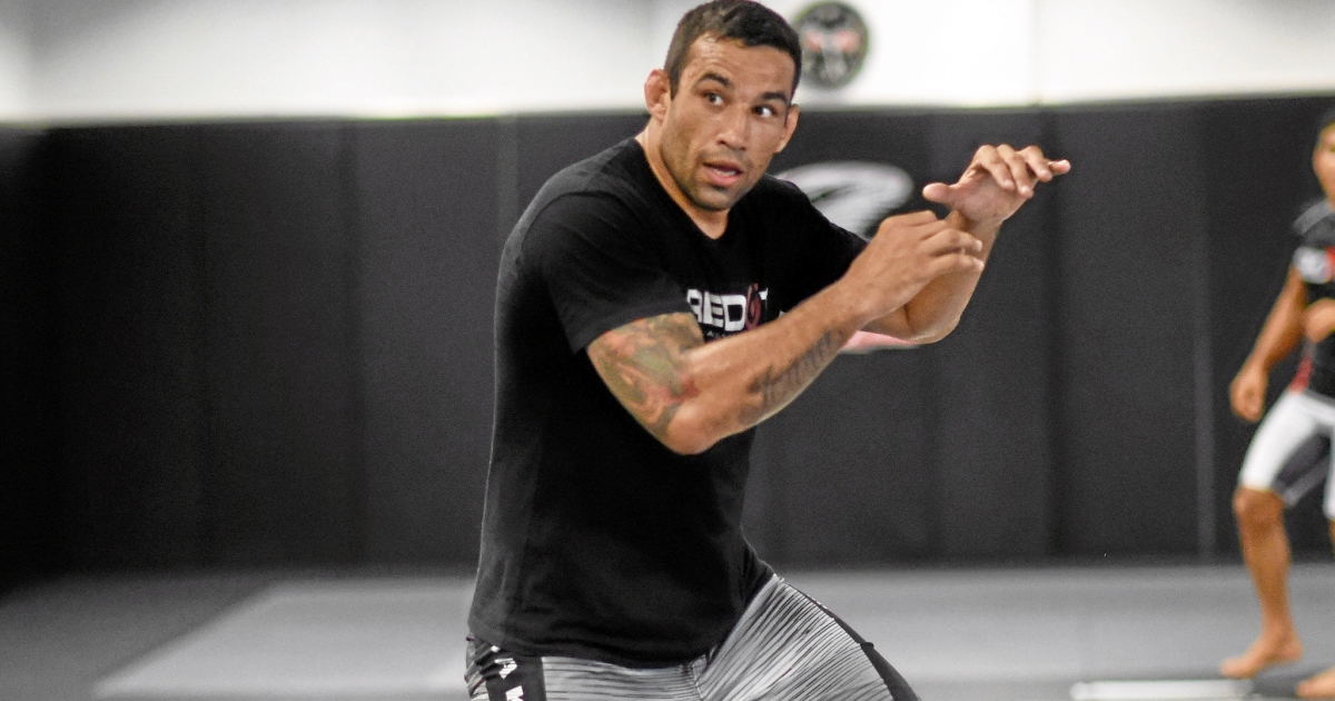 fabricio werdum