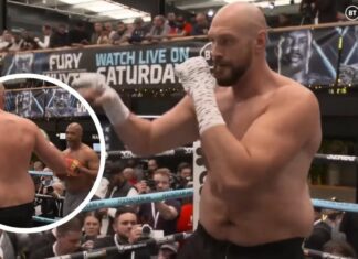 Legendarny „Gypsy King” na tarczach przed walką z Dillianem Whytem (WIDEO)