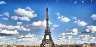 „W Europie fani nieco inaczej się zachowują” – Szef UFC o powrocie do Francji
