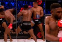 „Semtex” w swoim stylu żegna się z MMA! Paul Daley nokautuje na Bellator 281 (WIDEO)