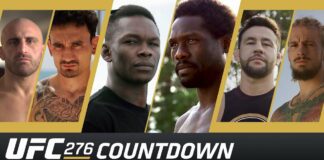 Odliczanie do UFC 276: Adesanya vs Cannonier (WIDEO)