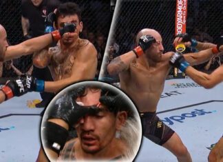 Deklasacja. UFC przypomina finał trylogii Volkanovski vs Holloway (WIDEO)