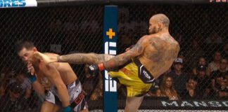 UFC on ESPN 41: Marlon Vera nokautuje Dominicka Cruza pięknym kopnięciem w walce wieczoru! (WIDEO)