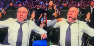 Zobacz szaloną reakcję komentatorów na zakończenie walki wieczoru UFC 278