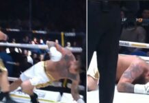 Alexander Emelianenko ciężko znokautowany w 13 sekundzie walki przez Datsika (WIDEO)