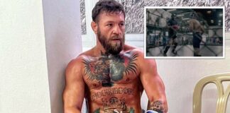 Latające kolano i obrotówka, czyli McGregor na sparingach w klatce (WIDEO) conor mcgregor