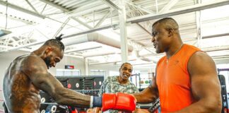 Ngannou odpowiedział na propozycję walki z Wilderem wilder ngannou