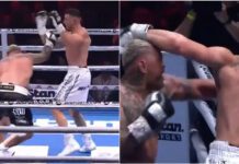 Ostatnia walka legendy. Mark Hunt nokautuje młodszego, niepokonanego rywala w ringu (WIDEO)