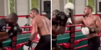 Intensywny sparing Alexa Pereiry z kickbokserem Glory (WIDEO)