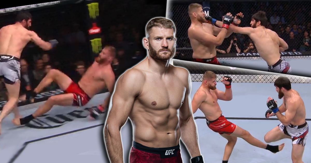 ufc 282 blachowicz ankalaev