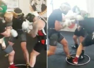 WIDEO: Każdy na każdego. Niecodzienny trening polskich pięściarzy