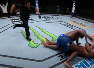 Najlepsze skończenia bohaterów UFC Vegas 68 (WIDEO)