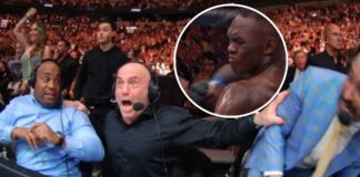 Szalona reakcja komentatorów po nokaucie Adesanyi na UFC 287. Anik prawie spadł z krzesła (WIDEO)