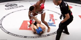 Hooi demoluje Stoimenova. KSW przypomina ostatni tryumf Holendra (WIDEO)