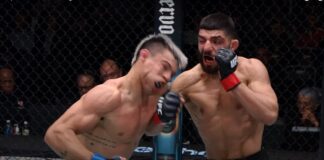 Najlepsze skończenia w wykonaniu bohaterów UFC Vegas 74 (WIDEO)