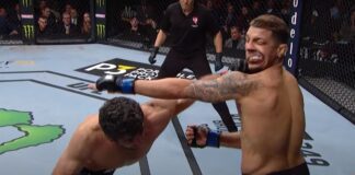 Najlepsze skończenia w wykonaniu bohaterów UFC 289 (WIDEO)