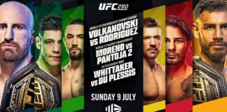 UFC 290: Volkanovski vs Rodriguez – wyniki gali z udziałem Marcina Prachnia ufc 290 volkanovski rodriguez prachnio wyniki gali