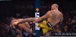 Najlepsze skończenia w wykonaniu bohaterów gali UFC 292 (WIDEO)