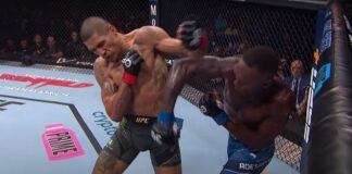 Najlepsze skończenia w wykonaniu bohaterów gali UFC 293 (WIDEO)
