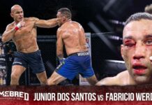 Fatalne rozcięcie Werduma. „Cigano” lepszy od rodaka w walce MMA na gołe pięści (WIDEO)