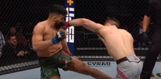 Najlepsze wygrane przed czasem bohaterów gali UFC on ESPN+ 87 (WIDEO)