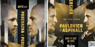 UFC 295: Procházka vs Pereira – karta walk, informacje o transmisji gali