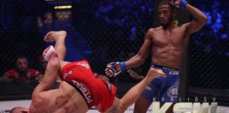 Parnasse pokonuje Wrzoska. KSW przypomina trzecią walkę Francuza w okrągłej klatce