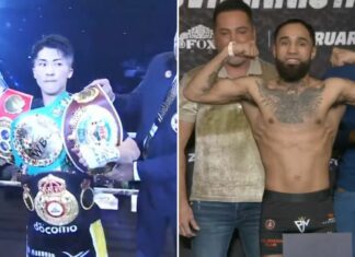 Niepokonany Naoya Inoue w obronie pasów WBC, WBO, WBA i IBF kontra Luis Nery na majowej gali w Tokio
