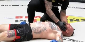 Najlepsze nokauty KSW 2023 (WIDEO)