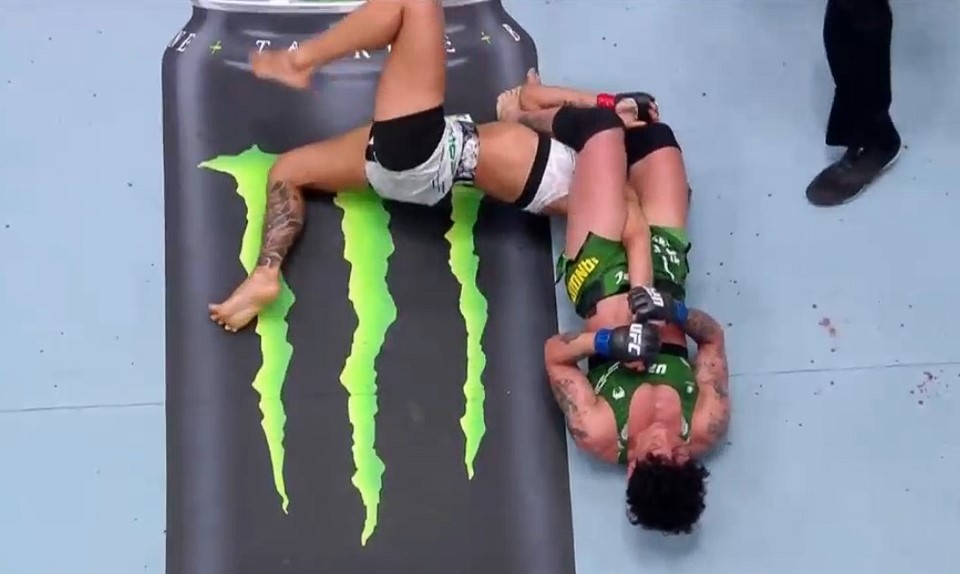 ufc jandiroba lemos