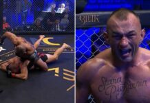 Sylwester Kołecki z pierwszą przegraną w zawodowym MMA! Kamil Stachura rozbił rywala w drugiej rundzie