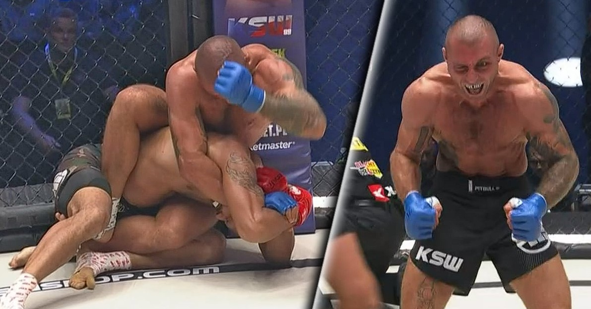 ksw 97 zajac silva
