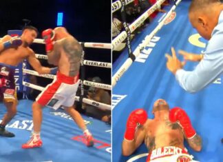 WIDEO: Maciej Sulęcki znokautowany po raz pierwszy w karierze. Potężny cios na korpus Diego Pacheci