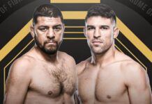 Nick Diaz kontra Vicente Luque planowane na grudniową galę UFC 310