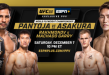 UFC 310: Pantoja vs Asakura – wyniki gali z walką Łukasza Brzeskiego
