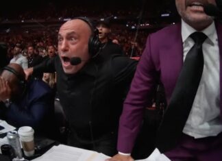 Joe Rogan wskazał zawodnika z najlepszym jiu-jitsu w MMA