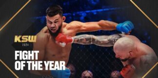 Walka Roku 2024 w KSW – Nominacje (WIDEO)
