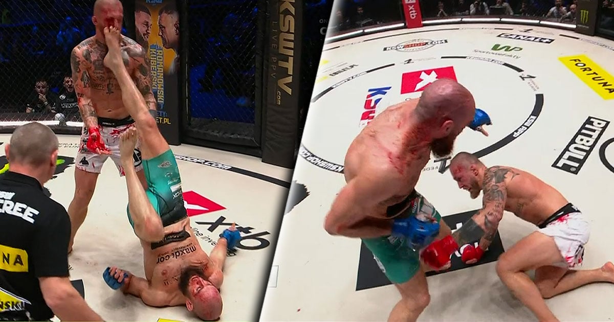 ksw 103 dzikowski humburger