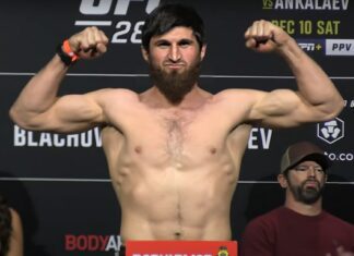Magomed Ankalaev odpowiada na ofertę Alexa Pereiry. „Nie musimy robić tego publicznie”