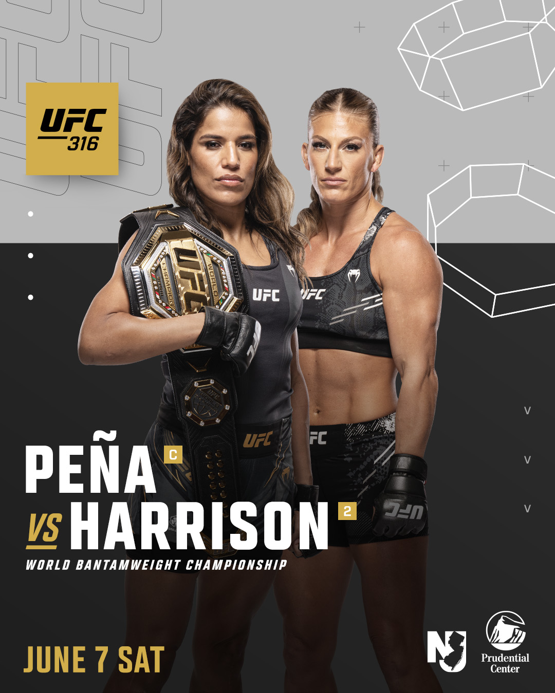 UFC 316