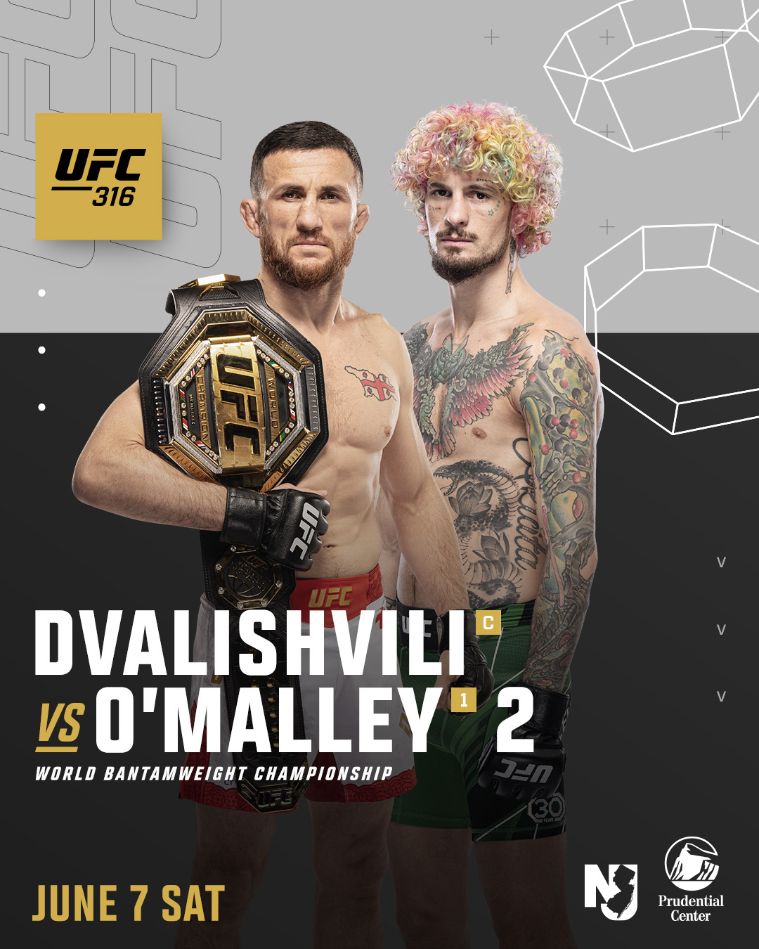 UFC 316