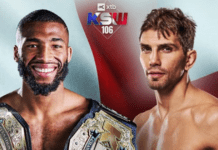 KSW 106: Parnasse vs. Ziółkowski – karta walk, informacje o transmisji gali