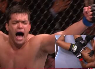 Pamiętne nokauty w oktagonie UFC (WIDEO)