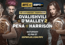 UFC 316: Dvalishvili vs O’Malley 2 – wyniki gali