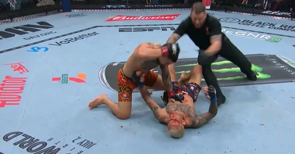 ufc 317 topuria oliveira